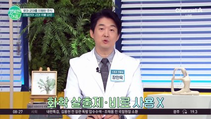 혈당과 다이어트에 도움 주는 파로