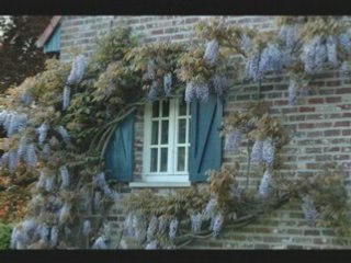 Les Glycines Serge Lama