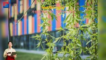 HotelKDM | 리뷰 센터 에스플라이 알베르게