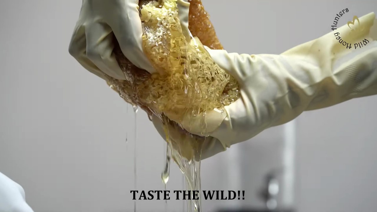 Wild Honey directly from the Honeycomb - Ghats Honey