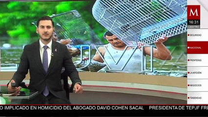 En Poza Rica, Veracruz, falta más ayuda y coordinación para la limpieza