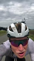 Cet oiseau n'aime pas les cyclistes !