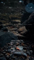 The Most Powerful Stoic Quotes For Everyday Life