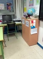 Ratas en el colegio público de San Jorge