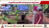 കുളത്തൂപ്പുഴയില്‍ തെരവുനായകള്‍ കൂട്ടമായി എത്തി വീട്ടില്‍ വളര്‍ത്തിയിരുന്ന കോഴികളെ കടിച്ചുകൊന്നു