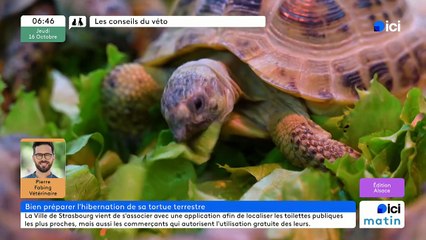 16/10/2025 - ici matin par ici Alsace en vidéo