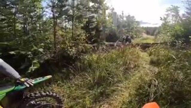 Motocross Bike Flies Off Into Bushes as Rider Tries to Get Over Fallen Tree
