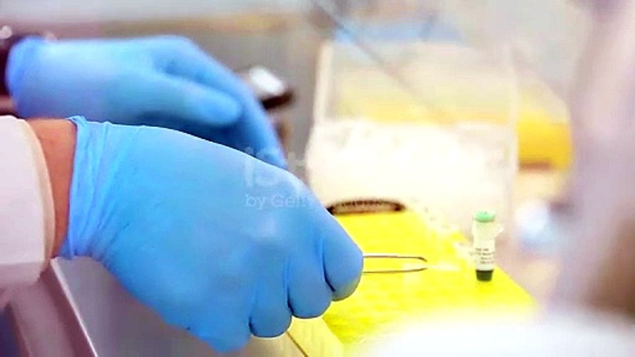 The Prestige Evergreen model apartment offers fully furnished demo flats