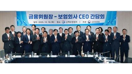 [기업] 보험업계, 저출산 지원 3종세트 도입...연 천2백억 부담 낮춘다 / YTN