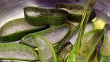 Aloe vera hacks you should try soon!