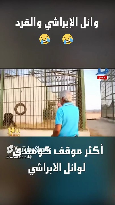 اقوي موقف كوميدي للابراشي مع قرد اثناء تصوير حلقة