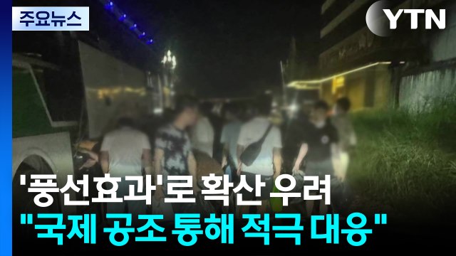 '풍선효과'로 동남아 확산 우려... 국제 공조 통해 적극 대응 / YTN