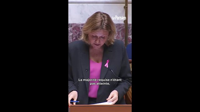 La motion de censure du RN rejetée par l'Assemblée