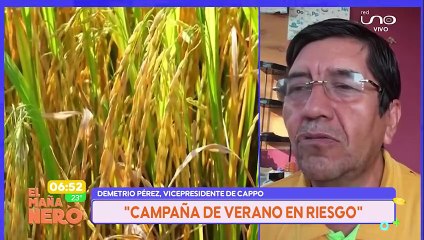 "LA CAMPAÑA DE VERANO ESTÁ EN RIESGO" SEÑALA DEMETRIO PÉREZ, VICEPRESIDENTE DE CAPPO