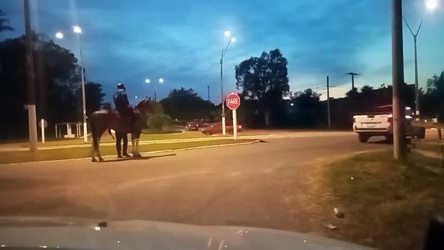 54° edición del raid federado Día de las Ámericas sobre 80 km. - Parte 1 de2 - Aceguá (12/10/2025)