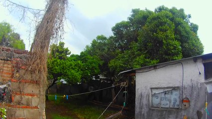 Depresión - Las nubes y sus colores, una pared y verde - Tacuarembó (11/10/2025)