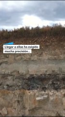 Descubren un rastro de huellas de dinosaurios en el Reino Unido