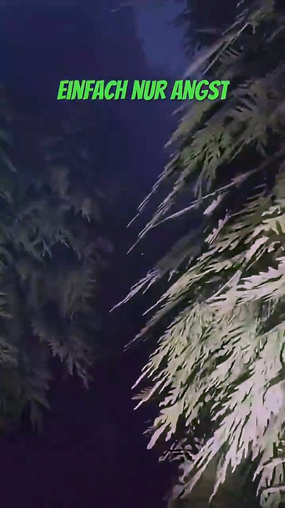 Von Buch zu Buch - Labyrinthine