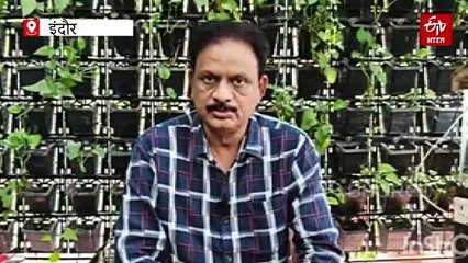 जंगल में परिवार से बिछड़ा नीलगाय का बच्चा पहुंचा शहर, इंदौर जू में मिले नए दोस्त