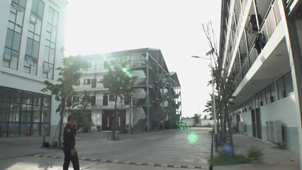 [녹색] 농진청 "꿀벌 월동 대비, 가을부터 철저히" / YTN