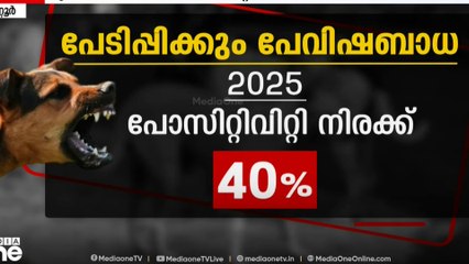 തെരുവ് നായകളിലെ പേവിഷബാധ വർധിക്കുന്നു: മൃഗസംരക്ഷണ വകുപ്പിന്റെ കണക്കുക​ൾ പുറത്ത്