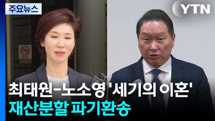 최태원-노소영 '세기의 이혼' 다시 고법으로...재산분할 파기환송 / YTN