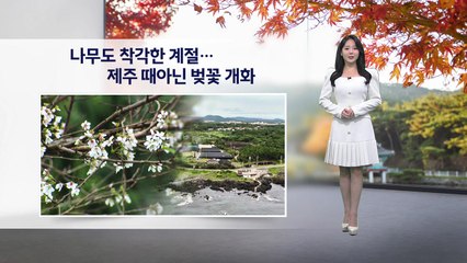 [이슈날씨] 내일도 예년 기운 웃돌아... 밤부터 비 / YTN