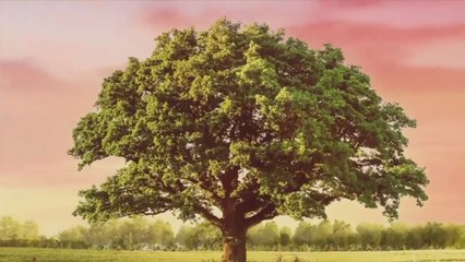 Na miłość nie ma recepty - 64