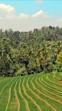 The Mekong Delta - Which is more important to you - mekong delta boat tour