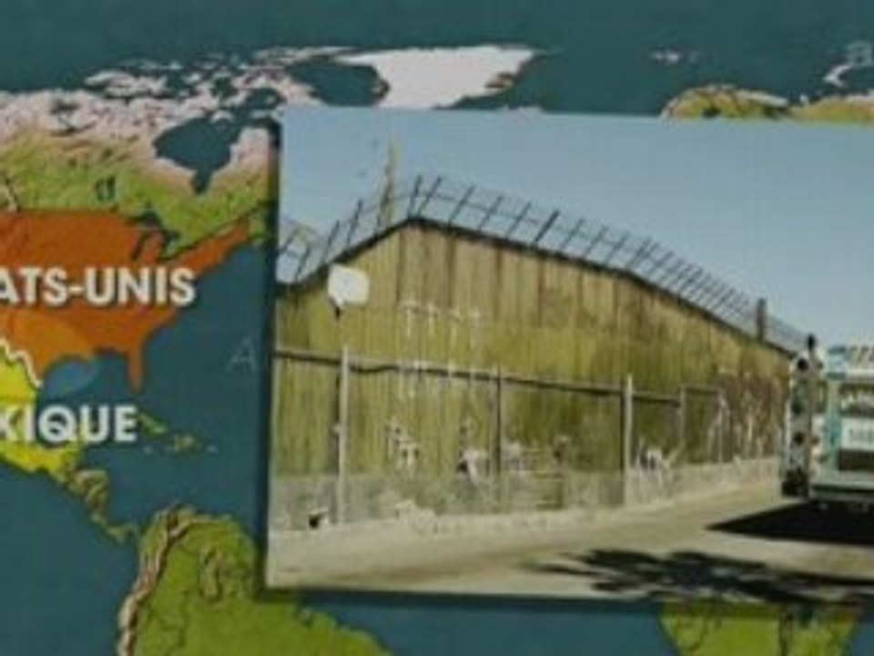 Nouveaux Murs "défensifs"