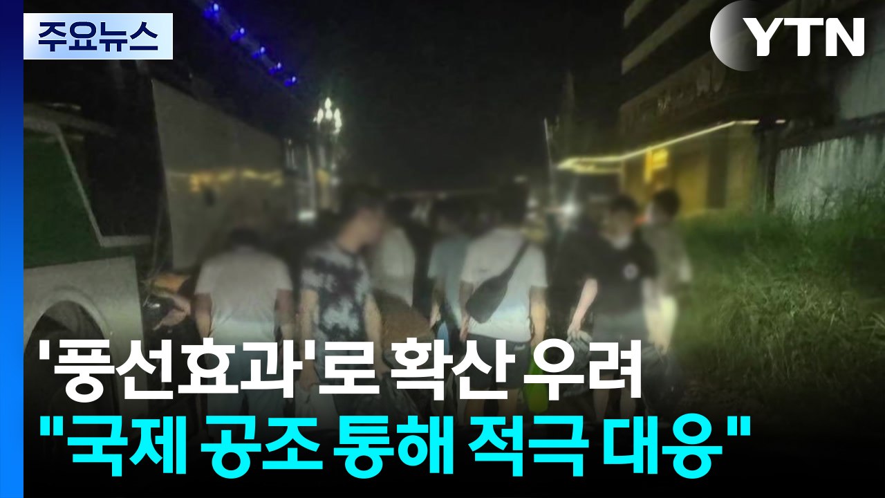 '풍선효과'로 동남아 확산 우려..."국제 공조 통해 적극 대응" / YTN