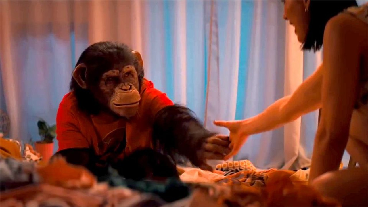 Primate Trailer DF