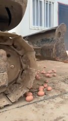 Unbreakable Eggs Experiment 😱 | Throwing Chicken Eggs But They Don’t Break!