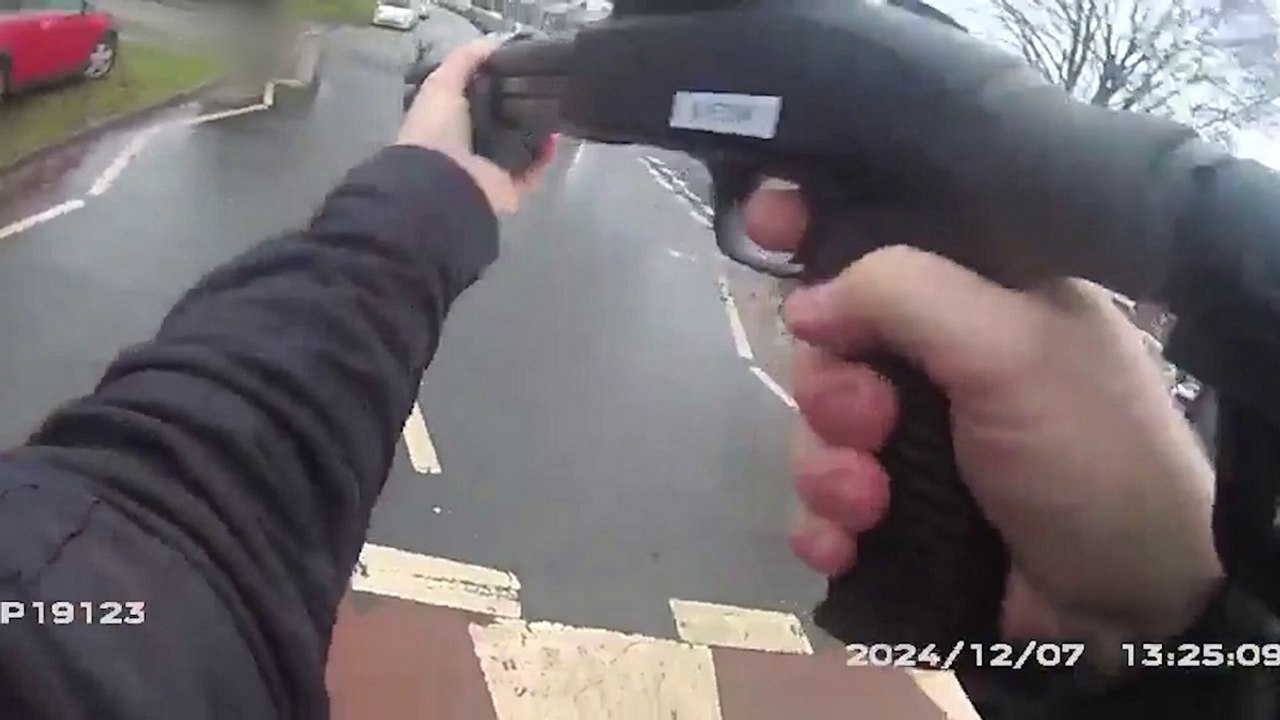 Police officer shoots XL bully dog three times with shotgun