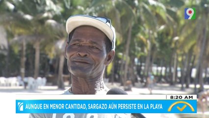 Sargazo deja grandes pérdidas a negocios de playa de Boca Chica | El Despertador