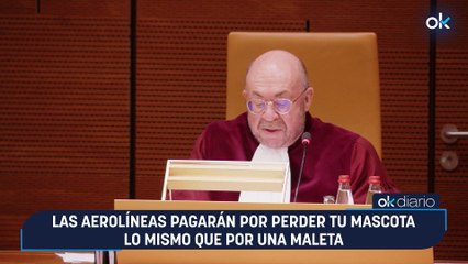 Las aerolíneas pagarán por perder tu mascota lo mismo que por una maleta
