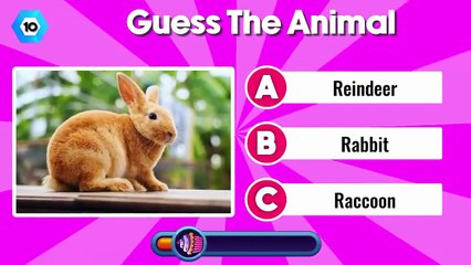 Guess the animal! How many animals can you name