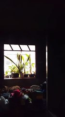 Família perde tudo após casa pegar fogo em Periperi; veja imagens