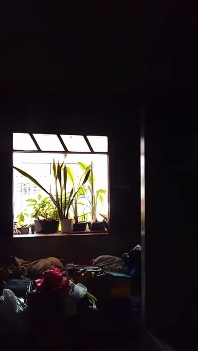 Família perde tudo após casa pegar fogo em Periperi; veja imagens