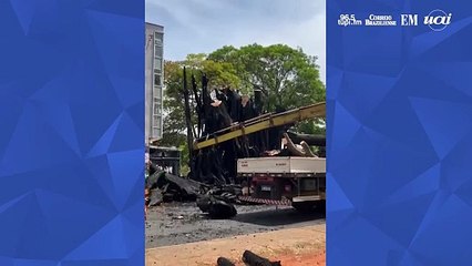 Novacap começa a retirada de gameleira incendiada na 704/705 Norte