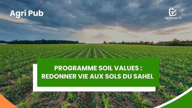 Agri Pub : Programme Soil Values, redonner vie aux sols du Sahel