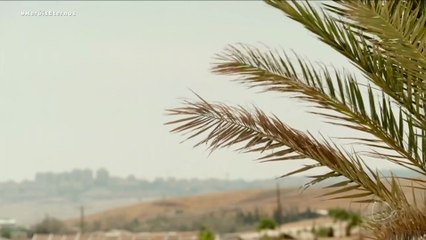 3 _  Filho da promessa Isaque nasce e cumpre plano de Deus para Abraão  Heróis Eternos , Abraão , Isaque , Ismael