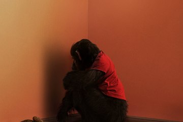 Primate - UK Cinema Trailer 🎬