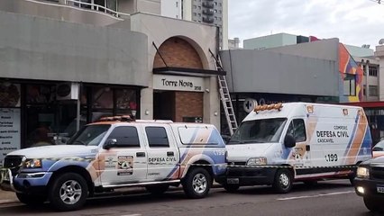 Defesa Civil é acionada para remover enxame de abelhas no Centro de Cascavel