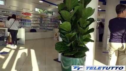 Video News - Infarto in farmacia, salvata una donna a Flero