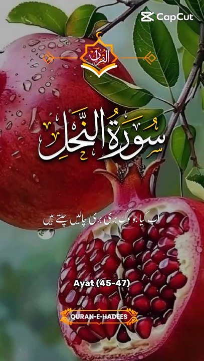 Surah An-Nahl | Powerful Verses from The Holy Quran | Spiritual Motivation & Reflection #SurahAnNahl #HolyQuran #IslamicMotivation #FaithInAllah #QuranVerses