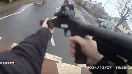 XL Bully shot dead by police after dog found dangerously out of control on residential street