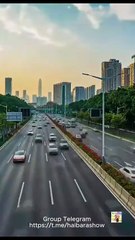 The Mermaid's Secret Baby