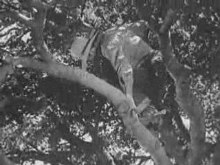 Western Cowboy Movies: Ghost Town Gold DVD Action Films