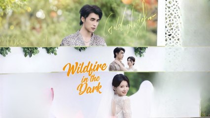 Wildfire in the Dark  Full Movie